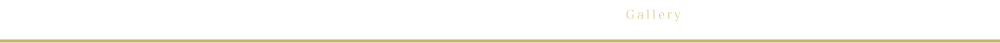 展示会・ギャラリー紹介