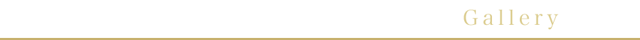 展示会・ギャラリー紹介